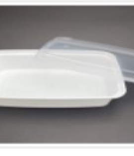 Model : PLS-CON-16OZ | 16 Oz White Plastic Container 