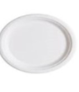Model : BIO-SC-RP-07| 7&quot; Bio. Sugarcane Round Plate